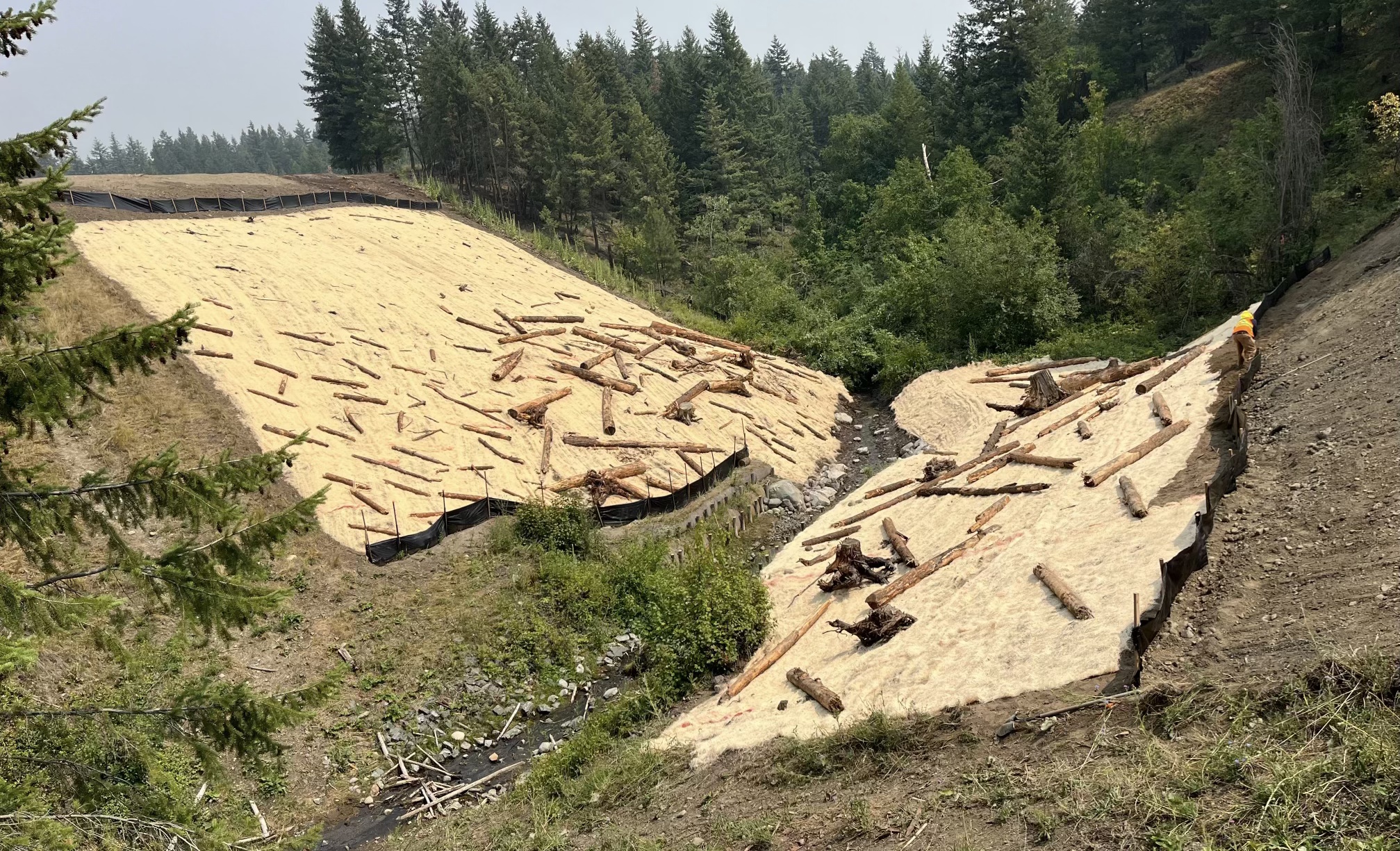 BC Timber Sales — Colbourne Creek