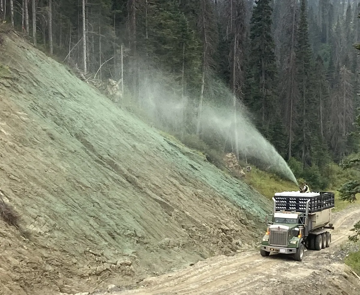 BC Timber Sales — Colbourne Creek