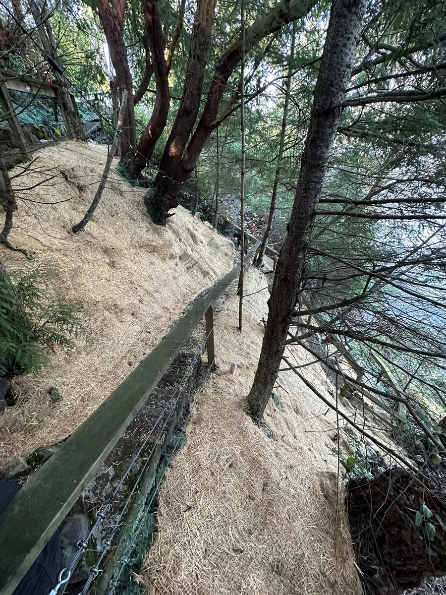 Steep slope with hay blanket and water-bar erosion mitigation