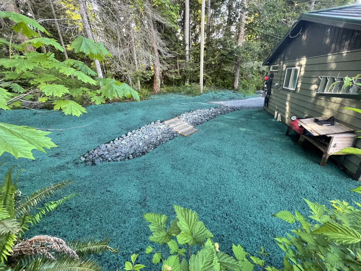 Established hydroseeded residential lawn at sunset