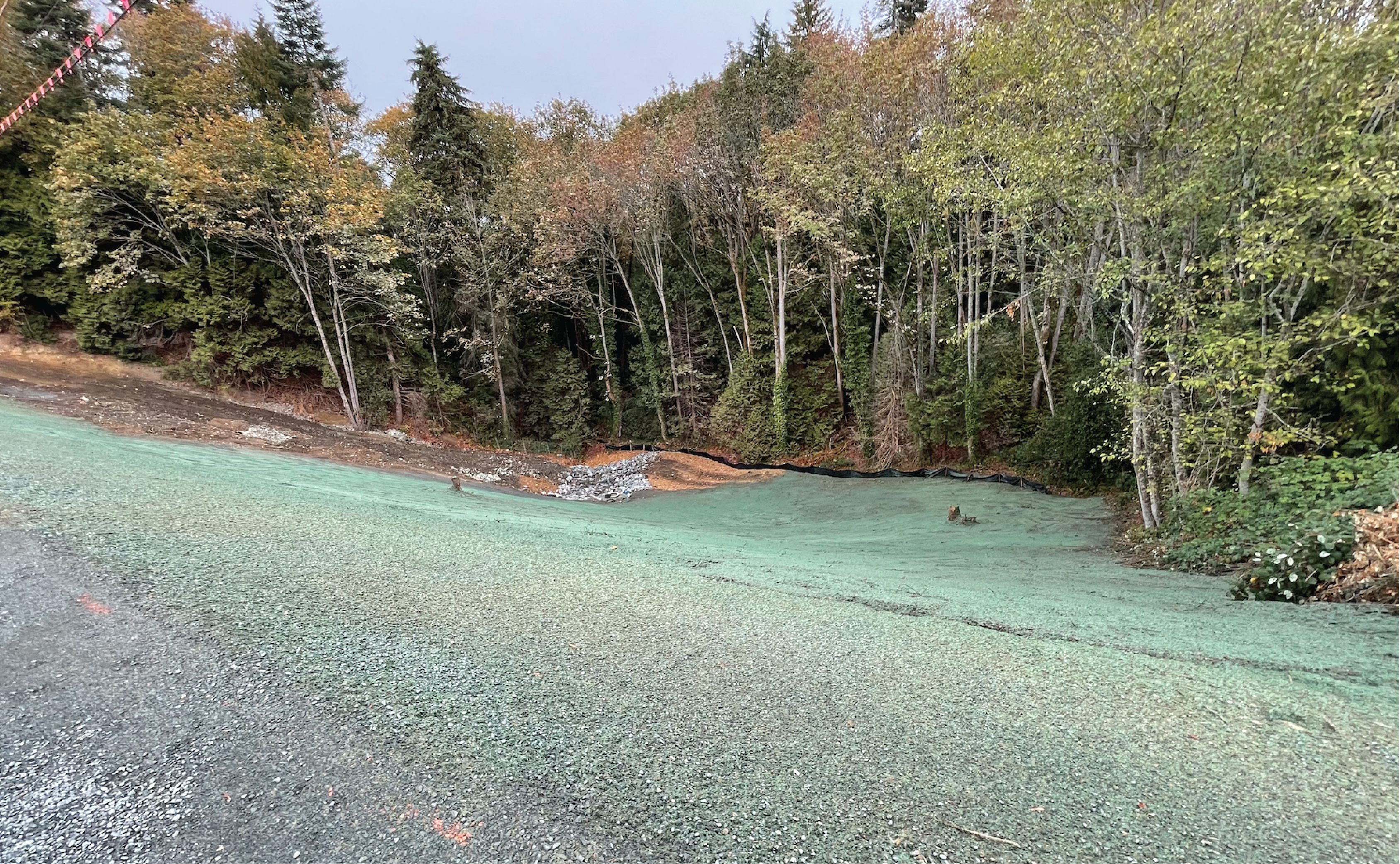 Restored slope re-greened along a forest road