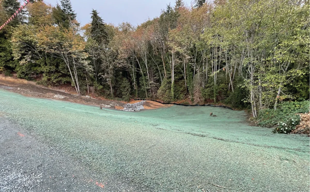 Restored slope re-greened along a forest road