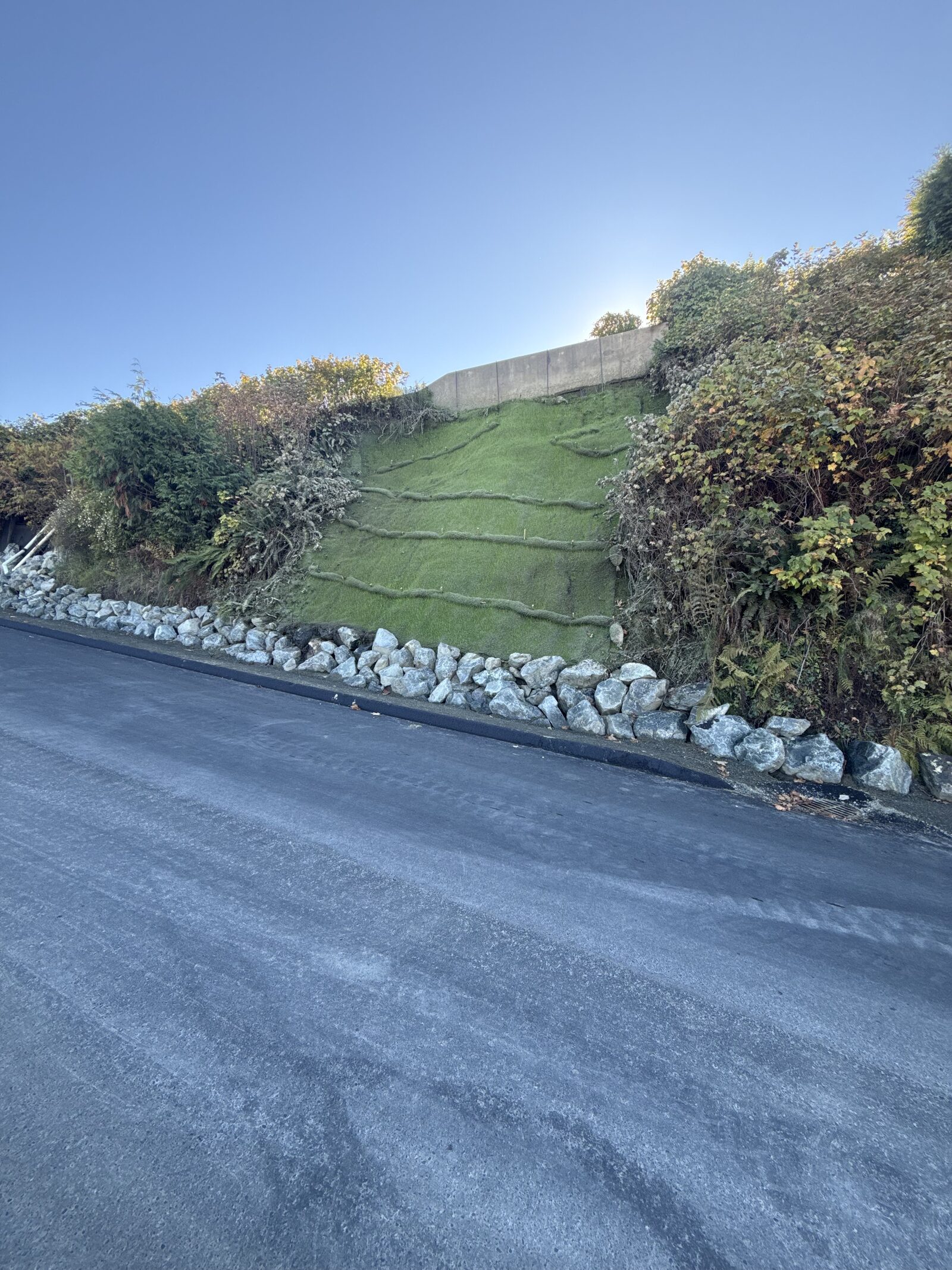 Hydroseeded roadside cut slope stabilized with straw wattles and rock toe protection